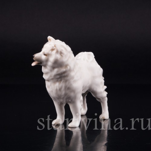 Шпиц, Hutschenreuther, Германия, вт. пол. 20 в