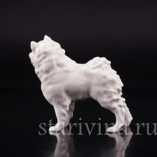 Шпиц, Hutschenreuther, Германия, вт. пол. 20 в