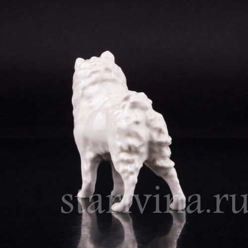 Шпиц, Hutschenreuther, Германия, вт. пол. 20 в