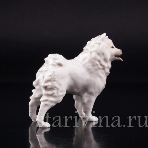 Шпиц, Hutschenreuther, Германия, вт. пол. 20 в