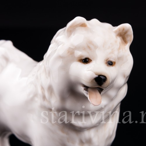 Шпиц, Hutschenreuther, Германия, вт. пол. 20 в