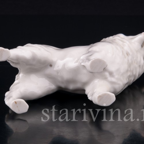 Шпиц, Hutschenreuther, Германия, вт. пол. 20 в