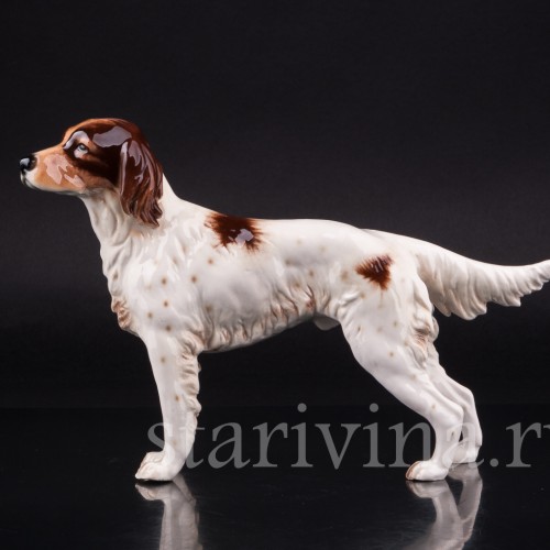 Сеттер, Goebel, Германия, 1968 г