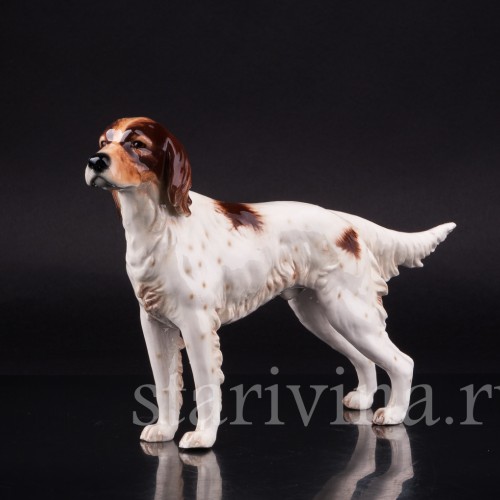 Сеттер, Goebel, Германия, 1968 г