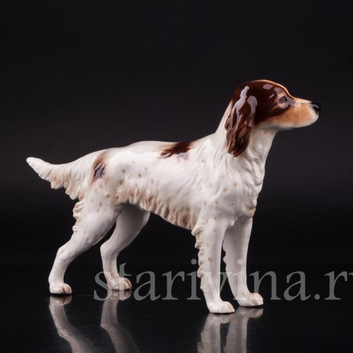 Сеттер, Goebel, Германия, 1968 г