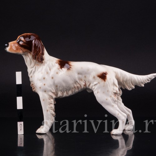 Сеттер, Goebel, Германия, 1968 г