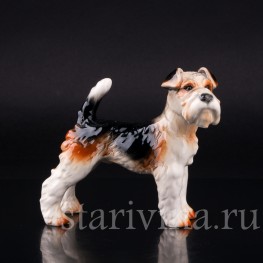 Фокстерьер, Goebel, Германия, 1972-79 гг