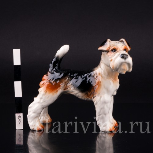 Фокстерьер, Goebel, Германия, 1972-79 гг