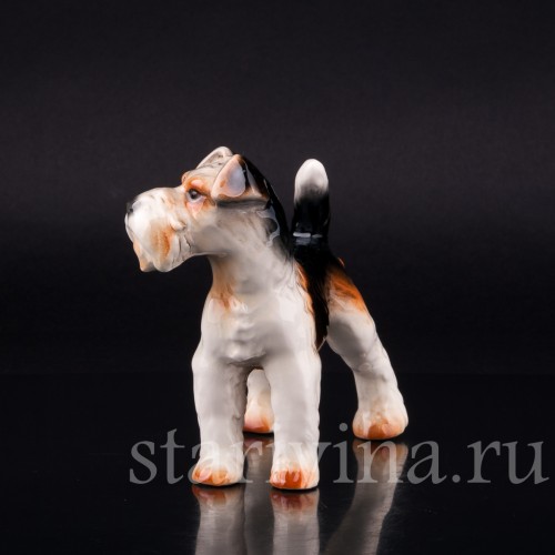 Фокстерьер, Goebel, Германия, 1972-79 гг