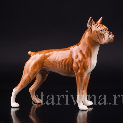 Боксер, Goebel, Германия, 1968 г