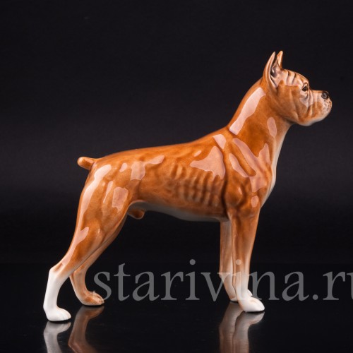 Боксер, Goebel, Германия, 1968 г