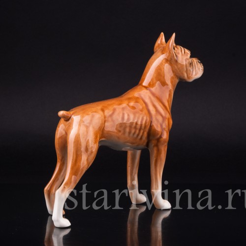 Боксер, Goebel, Германия, 1968 г