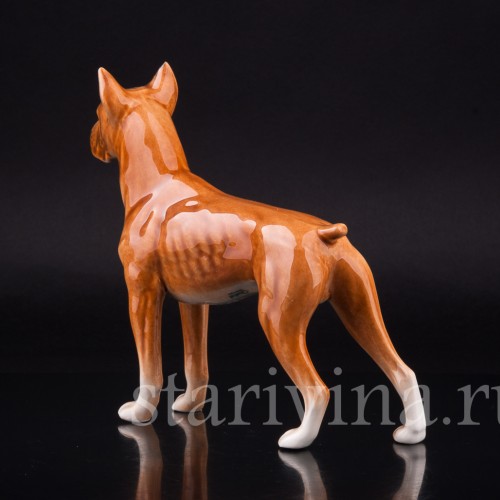 Боксер, Goebel, Германия, 1968 г