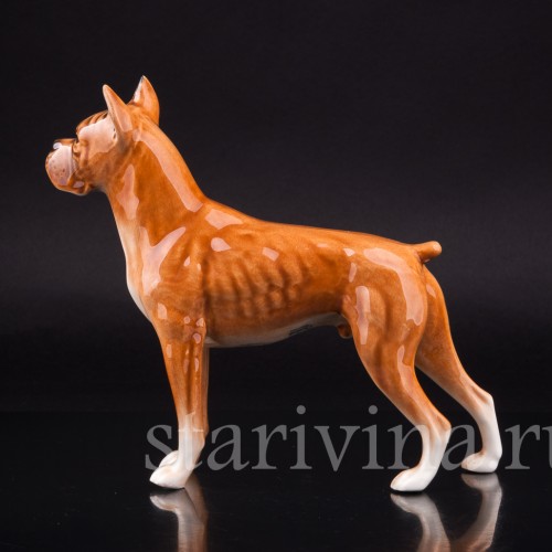 Боксер, Goebel, Германия, 1968 г