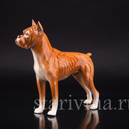 Боксер, Goebel, Германия, 1968 г