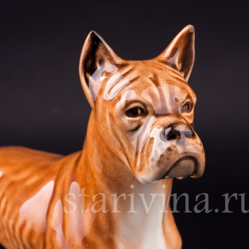 Боксер, Goebel, Германия, 1968 г