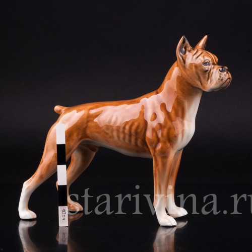 Боксер, Goebel, Германия, 1968 г