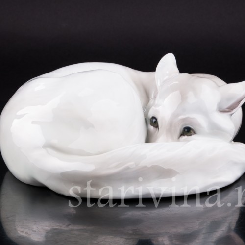 Полярная лиса, Heubach, Германия, нач. 20 в