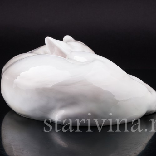 Полярная лиса, Heubach, Германия, нач. 20 в