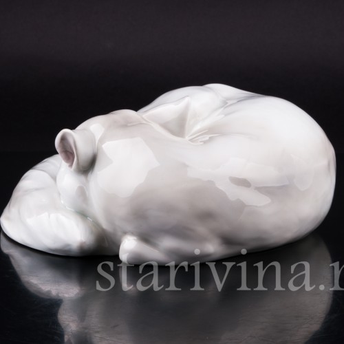 Полярная лиса, Heubach, Германия, нач. 20 в