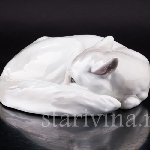 Полярная лиса, Heubach, Германия, нач. 20 в