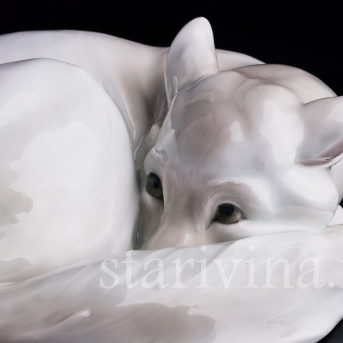 Полярная лиса, Heubach, Германия, нач. 20 в