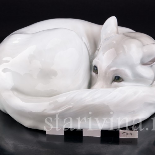 Полярная лиса, Heubach, Германия, нач. 20 в