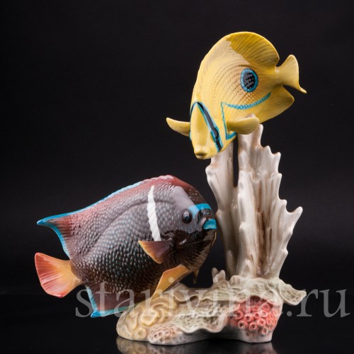 Коралловые рыбы, Goebel, Германия, до 1990 г