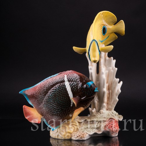 Коралловые рыбы, Goebel, Германия, до 1990 г