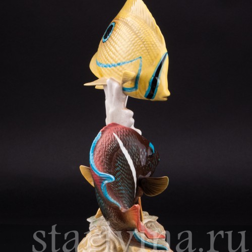 Коралловые рыбы, Goebel, Германия, до 1990 г