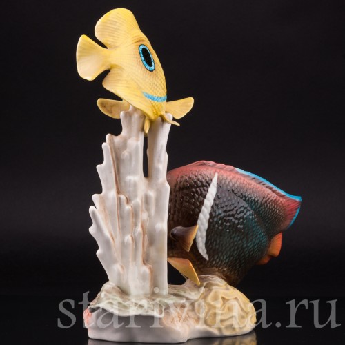Коралловые рыбы, Goebel, Германия, до 1990 г