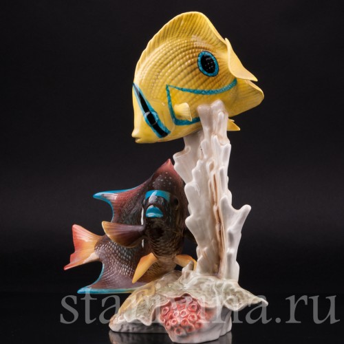 Коралловые рыбы, Goebel, Германия, до 1990 г