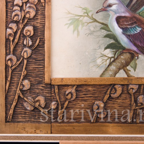 Горлицы, Германия, 19 в