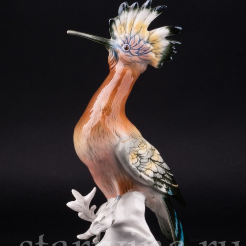 Удод, Karl Ens, Германия, 1950 гг