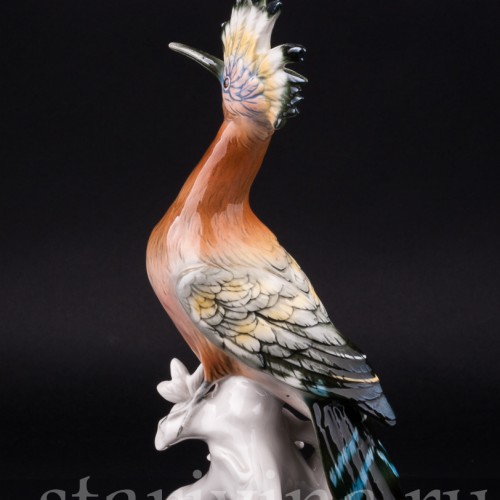 Удод, Karl Ens, Германия, 1950 гг