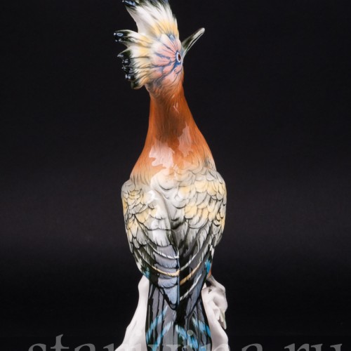 Удод, Karl Ens, Германия, 1950 гг