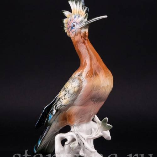 Удод, Karl Ens, Германия, 1950 гг