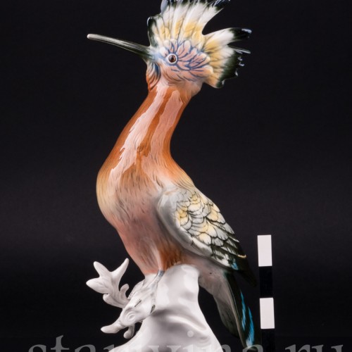 Удод, Karl Ens, Германия, 1950 гг