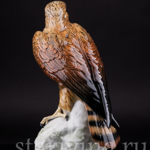 Сокол, Karl Ens, Германия, вт. пол. 20 в