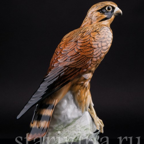 Сокол, Karl Ens, Германия, вт. пол. 20 в