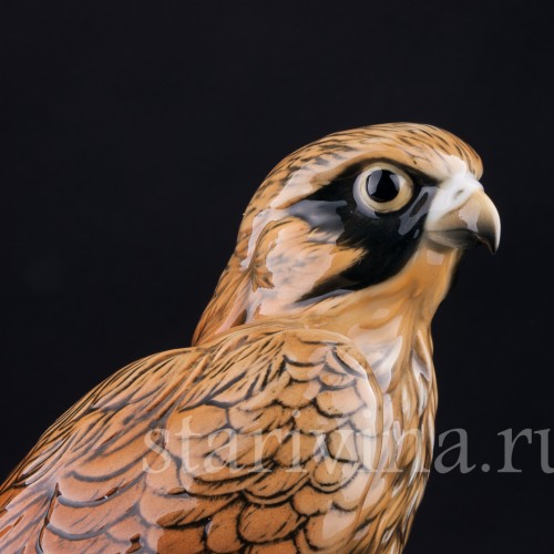 Сокол, Karl Ens, Германия, вт. пол. 20 в