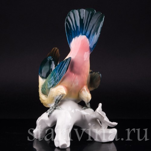 Тукан, Karl Ens, Германия, 1930 гг