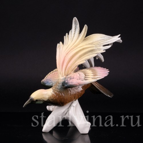 Райская птица, Karl Ens, Германия, сер. 20 в