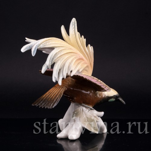 Райская птица, Karl Ens, Германия, сер. 20 в