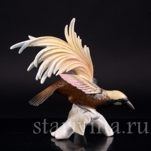 Райская птица, Karl Ens, Германия, сер. 20 в