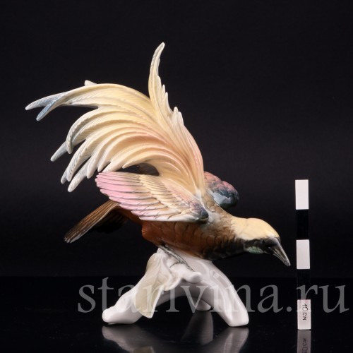 Райская птица, Karl Ens, Германия, сер. 20 в