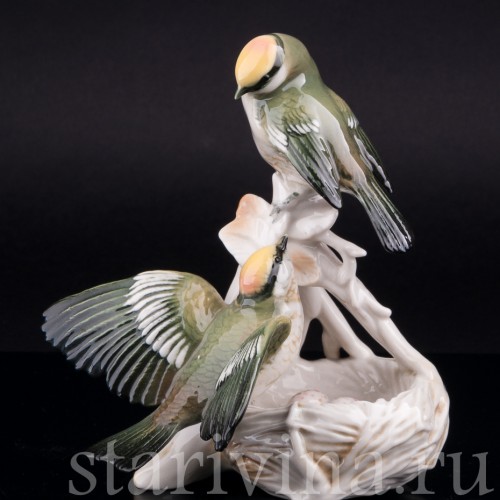 Корольки на гнезде, Karl Ens, Германия, 1940-50 гг