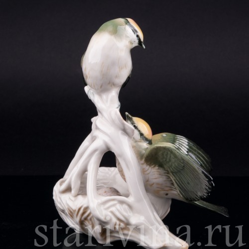 Корольки на гнезде, Karl Ens, Германия, 1940-50 гг