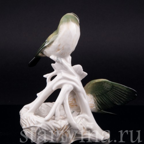 Корольки на гнезде, Karl Ens, Германия, 1940-50 гг