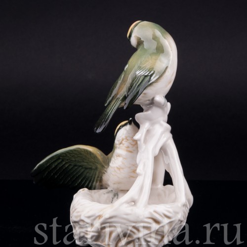 Корольки на гнезде, Karl Ens, Германия, 1940-50 гг